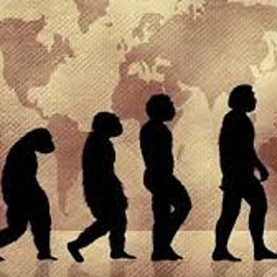 Timeline: Posturas de la evolución