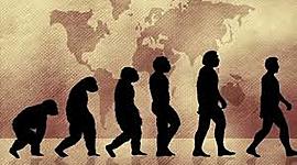 Timeline: Posturas de la evolución