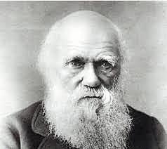 Darwin 1809 – 1882