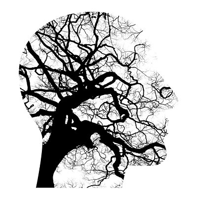 Timeline: RESUMEN HISTORICO MOMENTOS DE LA PSICOLOGIA