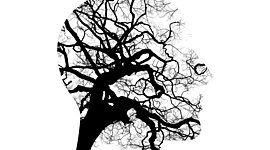 Timeline: RESUMEN HISTORICO MOMENTOS DE LA PSICOLOGIA