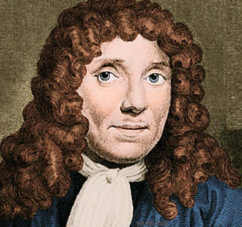 Antonie  van Leeuwenhoek