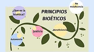 APLICACIÓN DE LAS TEORÍAS ÉTICAS EN MEDICINA