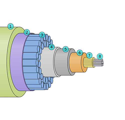 William Thomson (también conocido como lord Kelvin)