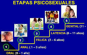 Etapas psicosexuales Freud