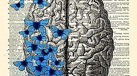 Timeline: La Neuropsicología en el tiempo