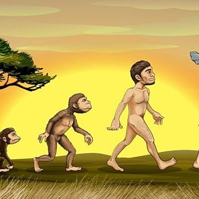 Timeline: Actividad integradora 1. Posturas de la evolución