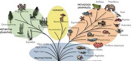 Unificación de diferentes ramas de la biología