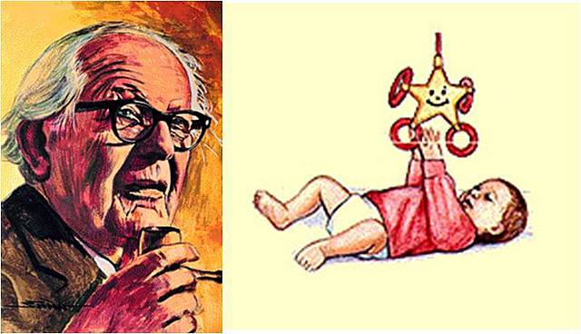 Teoría Psicogenética.