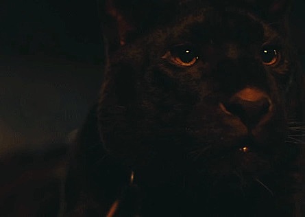 A Safe Transformation Accomplished