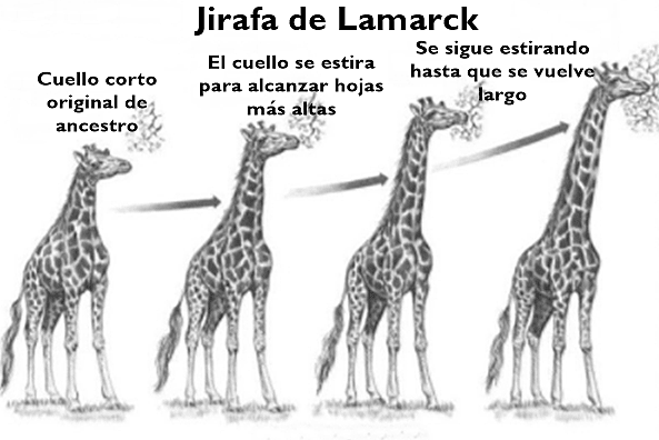 Postulados de Lamarck