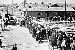 Auschwitz 3 nazi work camp