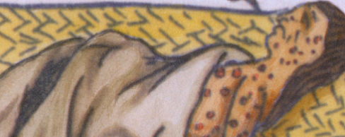 European's Brought Small Pox