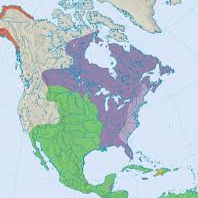 Timeline: Europe Nations Settle in North America