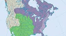 Timeline: Europe Nations Settle in North America