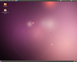 Ubuntu 10.04