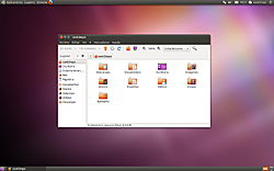 Ubuntu 10.10