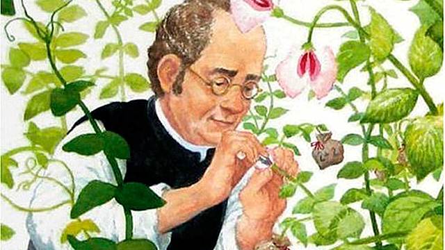 Gregor Mendel publica su teoría sobre la genética en la evolución de las especies