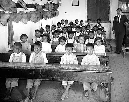 Proyecto de Educación Socialista