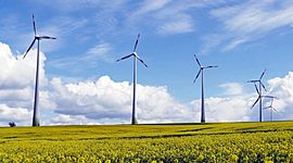 Timeline: Energía Eólica