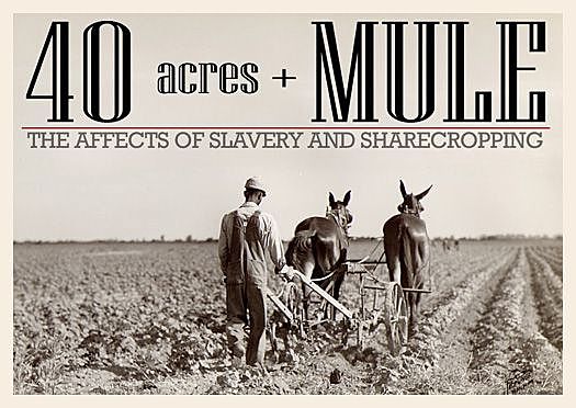40 Acres and a Mule