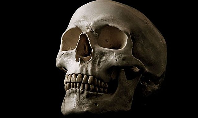 Samuel Morton's Theories