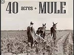 40 Acres and a Mule