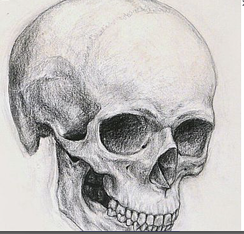 Samuel Morton's Theories