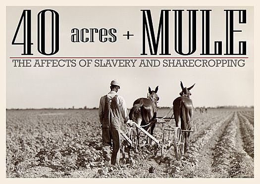 40 Acres and a Mule