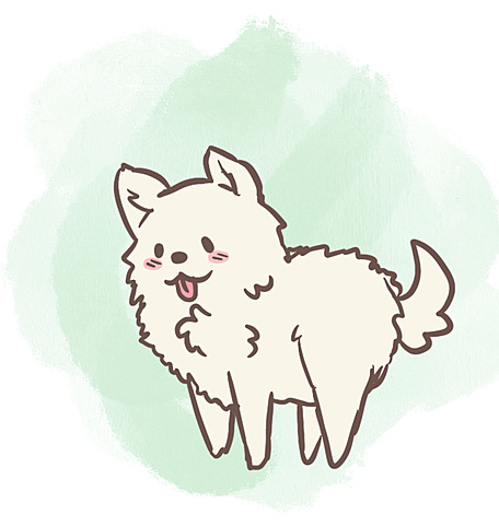 Get a Samoyed named Yuki