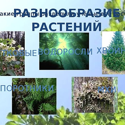 Timeline: Разнообразие растений