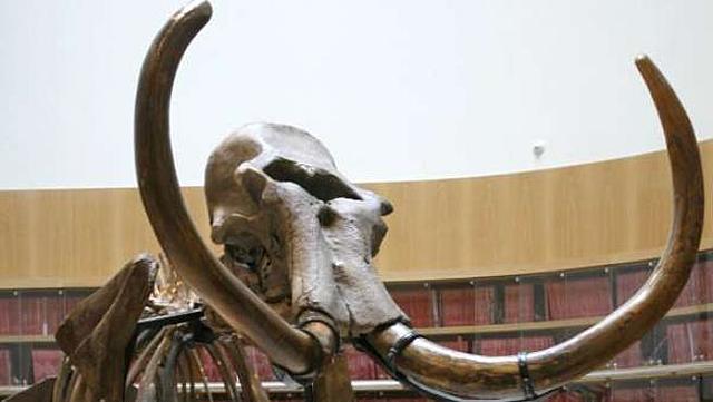 Finales del siglo XVIII