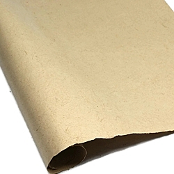 Mayans used paper created from tree barks.