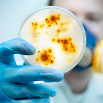 Timeline: Epidemics & Pandemics