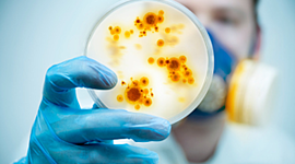 Timeline: Epidemics & Pandemics