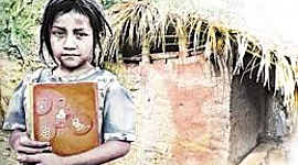 Timeline: Salud y educación en Guatemala (Periodo 1981-2020)