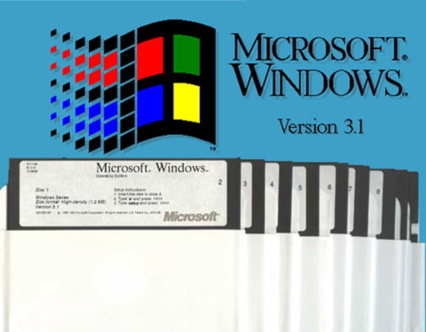 WINDOWS 3.1