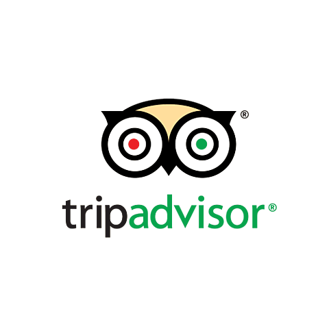 TripAdvisor reconocido como sitio de viajes más utilizado y confiable
