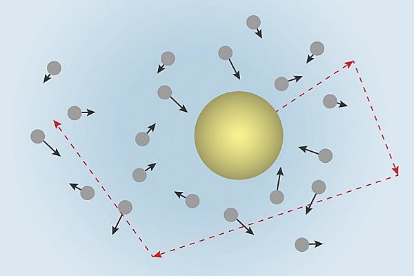 Scoperta moto Browniano