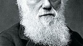 Timeline: Charles Darwin: Feb. 12, 1809 - Apr. 19, 1882