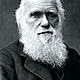 Charles darwin