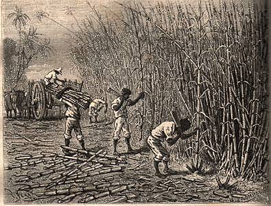 Explotación colonial.