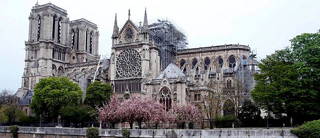 Catedral de Notre Dame