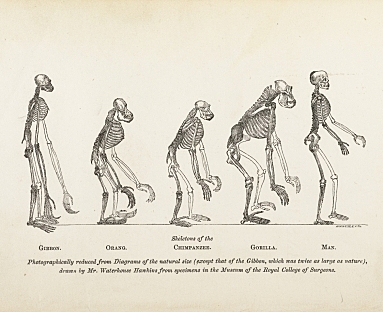 Death of Charles Darwin
