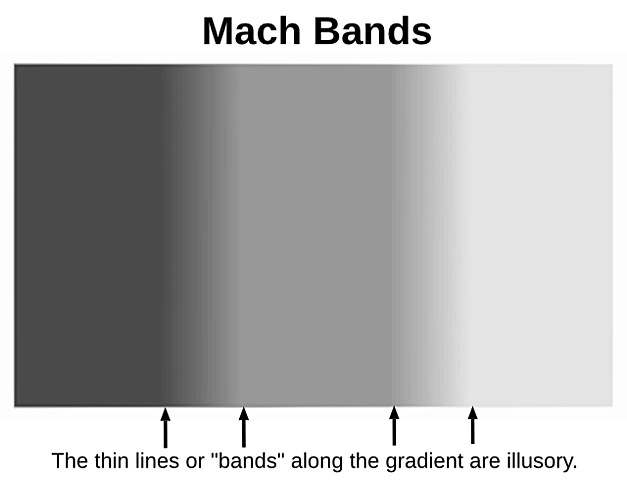 Mach Bands - "On the effect of the spatial distribution of light stimulous on the retina"