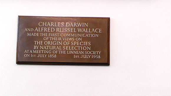 Darwin and Wallace