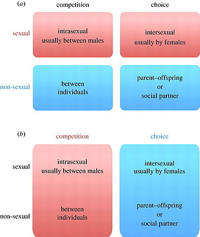 "The Descent of Man and Selection in Relation to Sex" (Darwin, 1901)