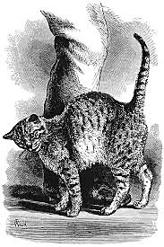 "The Expression of the Emotions in Man and Animals" (Darwin, 1872)