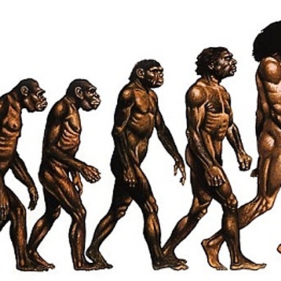 Timeline: Charles Darwin (1809-1882)