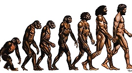 Timeline: Charles Darwin (1809-1882)